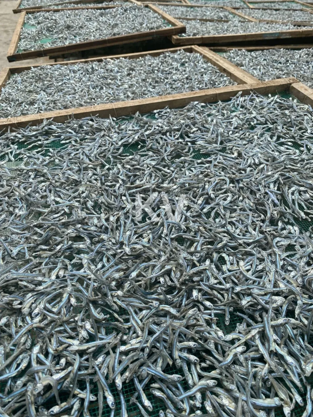 Processing & Quality