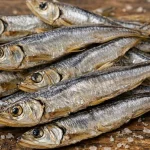 Dried Persian Gulf Anchovy
