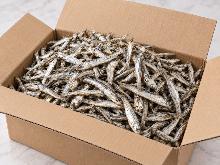 Bulk Iranian dried anchovy export packaging in cartons for international buyers